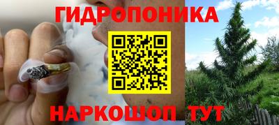 гашик Заводоуковск