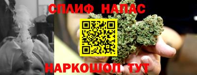 гашик Заводоуковск