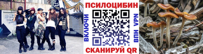 OMG ссылки  Алапаевск  Галлюциногенные грибы Magic Shrooms 