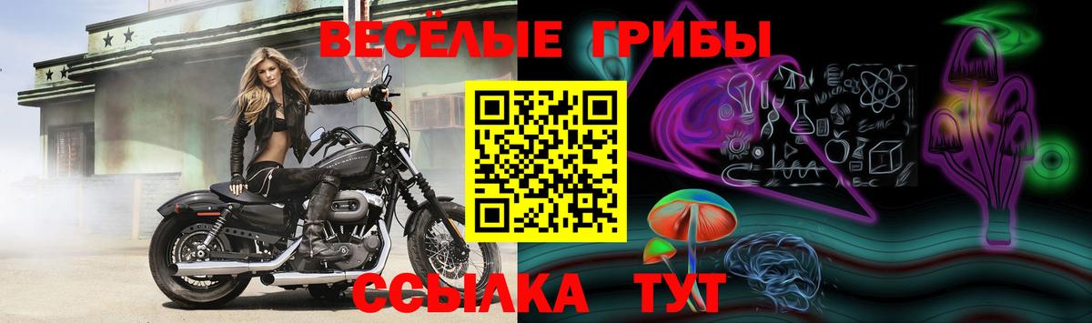 Псилоцибиновые грибы прущие грибы  Вход с VPN  Алапаевск 